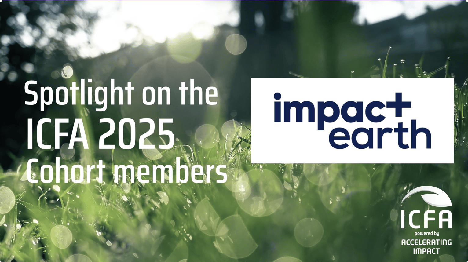 ICFA 2025 Cohort Spotlight: Impact Earth